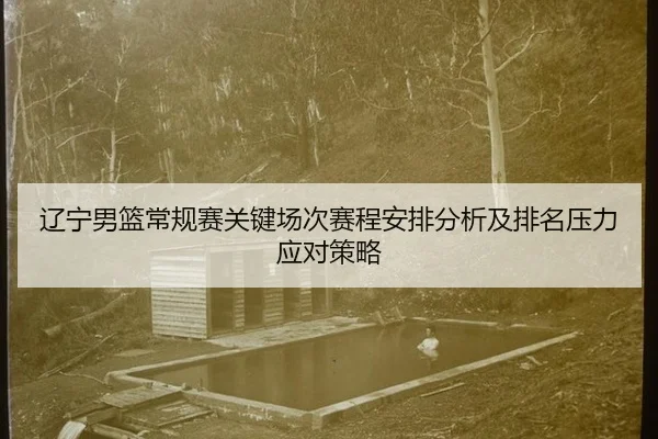 liao-ning-nan-lan-chang-gui-sai-guan-jian-chang-ci-sai-cheng-an-pai-fen-xi-ji-pai-ming-ya-li-ying-dui-ce-lve-2-610.jpg